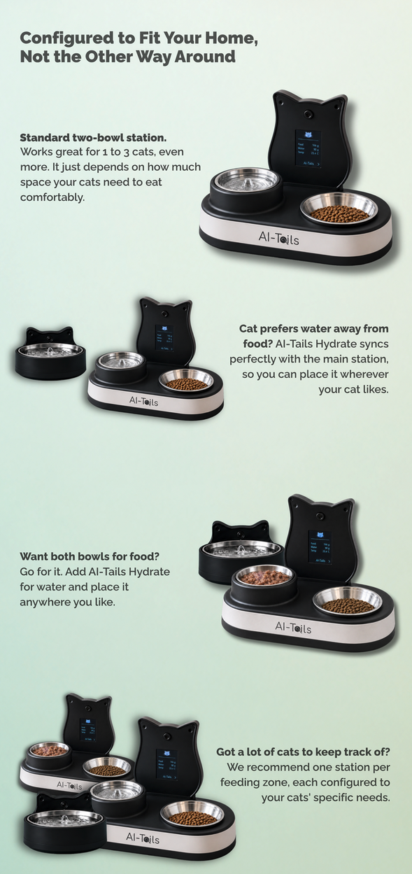 Configurazioni flessibili di AI-Tails: stazione standard a due ciotole, acqua posizionata lontano dal cibo, entrambe le ciotole per il cibo, e una stazione per ogni zona di alimentazione